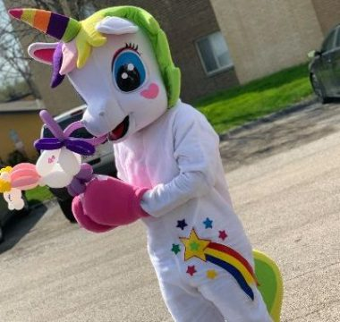 Unicorn Pony (White)